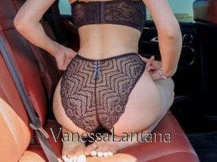 VanessaLantana