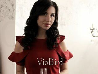 VioBird