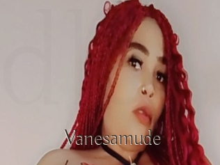 Vanesamude