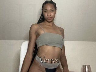 Venvs
