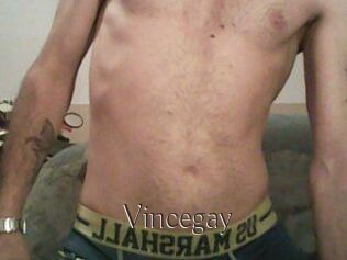 Vincegay