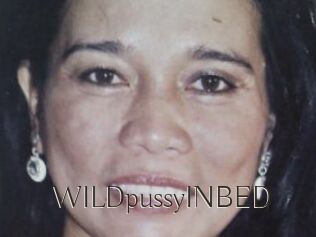 WILDpussyINBED