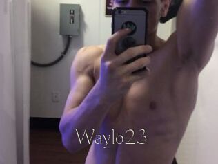 Waylo23