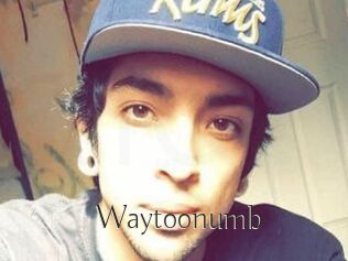 Waytoonumb