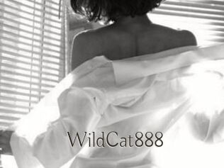 WildCat888