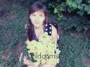 Wildcumster