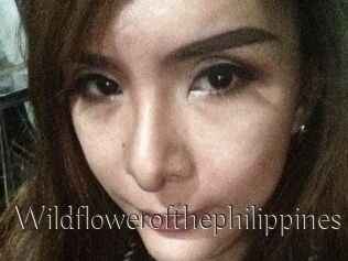 Wildflowerofthephilippines