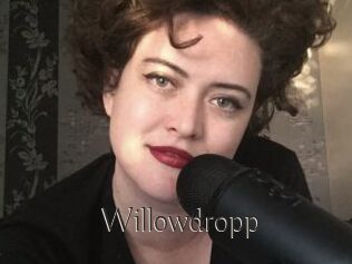 Willowdropp