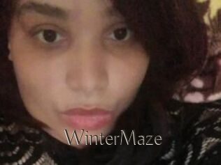 Winter_Maze