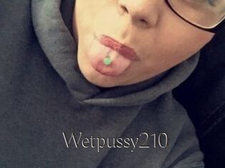 Wetpussy210