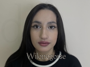 Wilonegorse