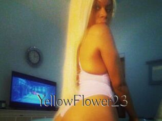 YellowFlower23