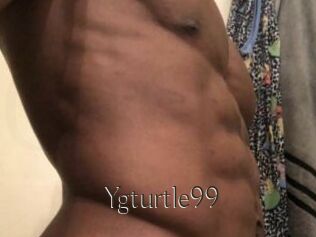 Ygturtle99