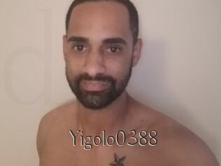 Yigolo0388