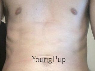 YoungPup