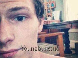 Youngbudstud
