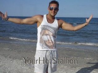 YourHotStallion