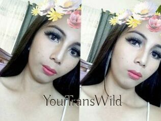 YourTransWild