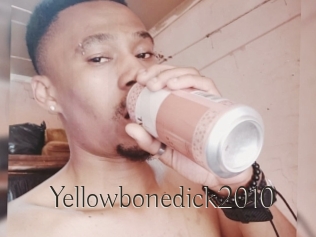 Yellowbonedick2010