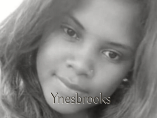 Ynesbrooks