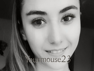 Yourmouse23