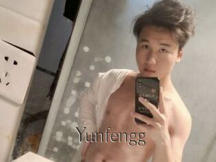 Yunfengg