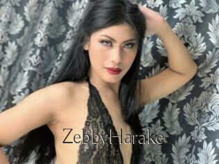ZebbyHarake