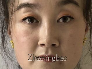 Zhaojingbao