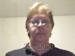Ziggy2020
