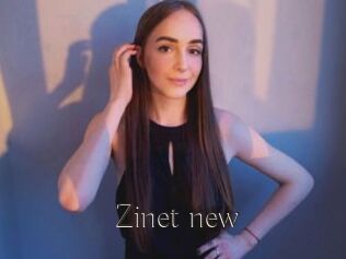 Zinet_new