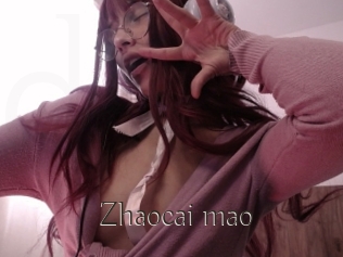 Zhaocai_mao