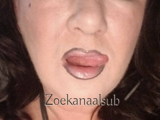 Zoekanaalsub